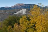 Colorado State University - Fort Collins